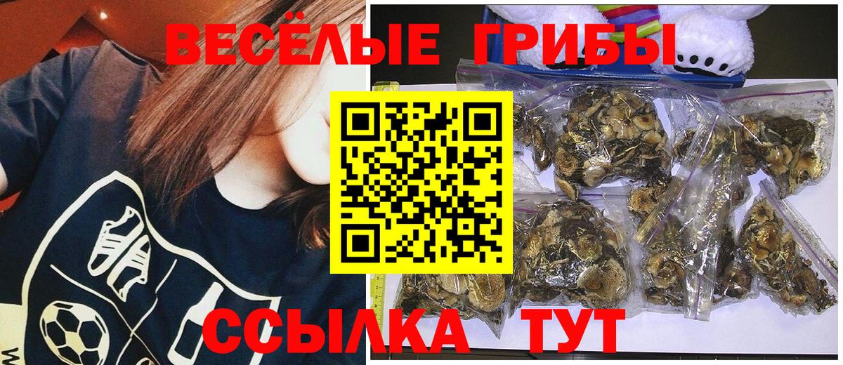 Галлюциногенные грибы Psilocybine cubensis  Псилоцибиновые грибы Psilocybe  Вход с VPN  Дедовск 