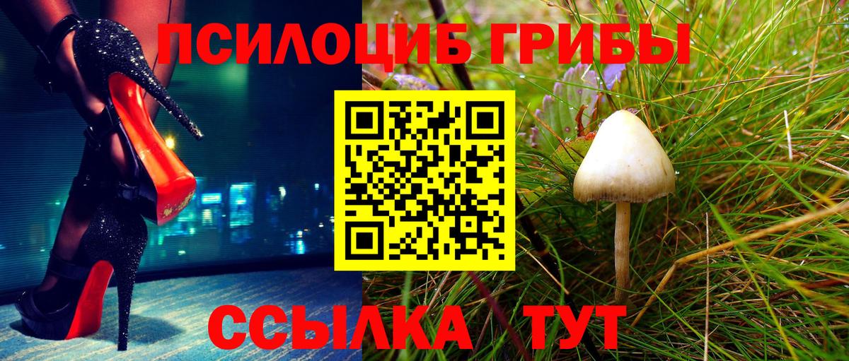 Галлюциногенные грибы мицелий Дедовск